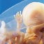 14 weeks - Her hands and feet perfectly formed: and legally aborted.