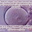 single cell life